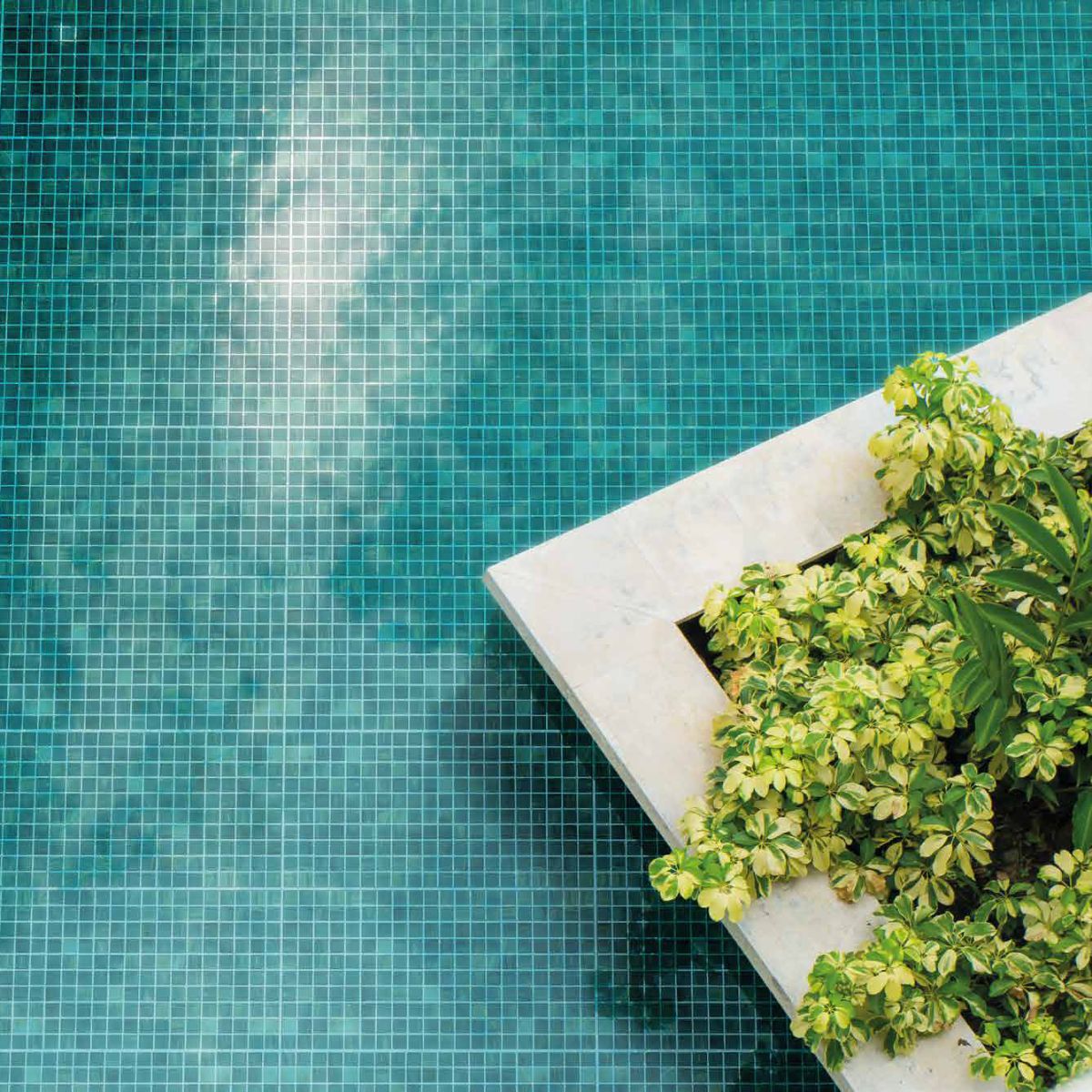Porcelanato Brisa Verde