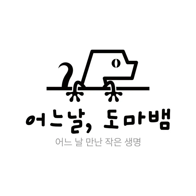어느날도마뱀 프로필 사진