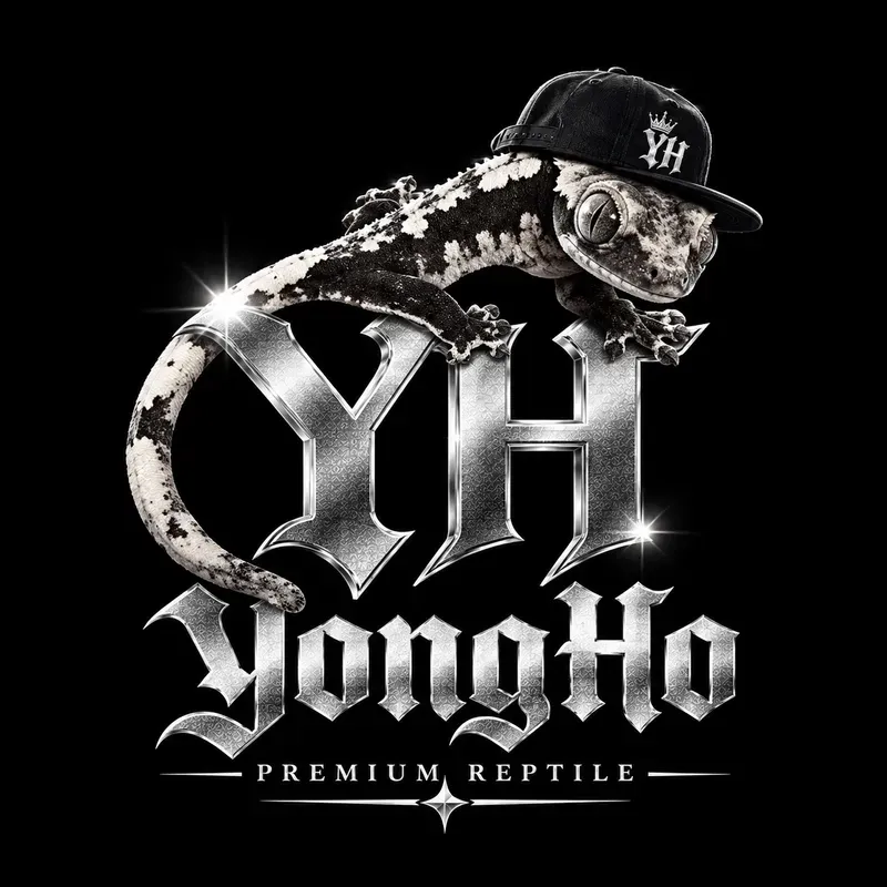 YongHoCre 프로필 사진