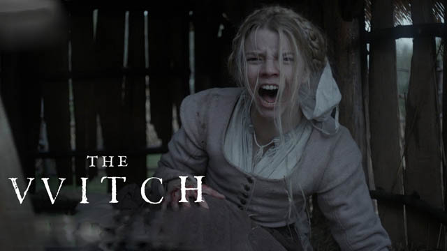 The Witch (2015) (Hindi Dubbed)