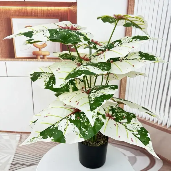 Potted Plant