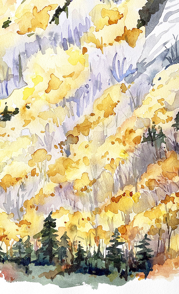 adirondack.jpg