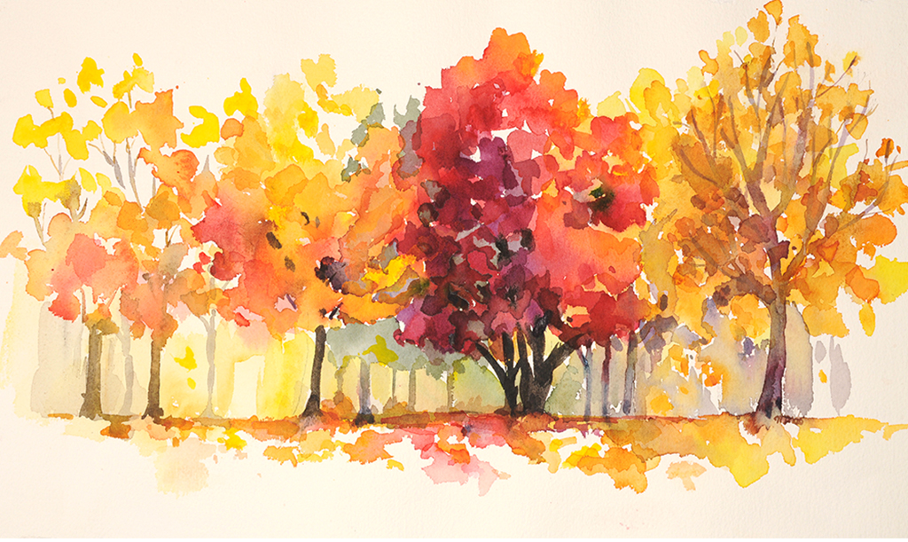 autumncolors.jpg