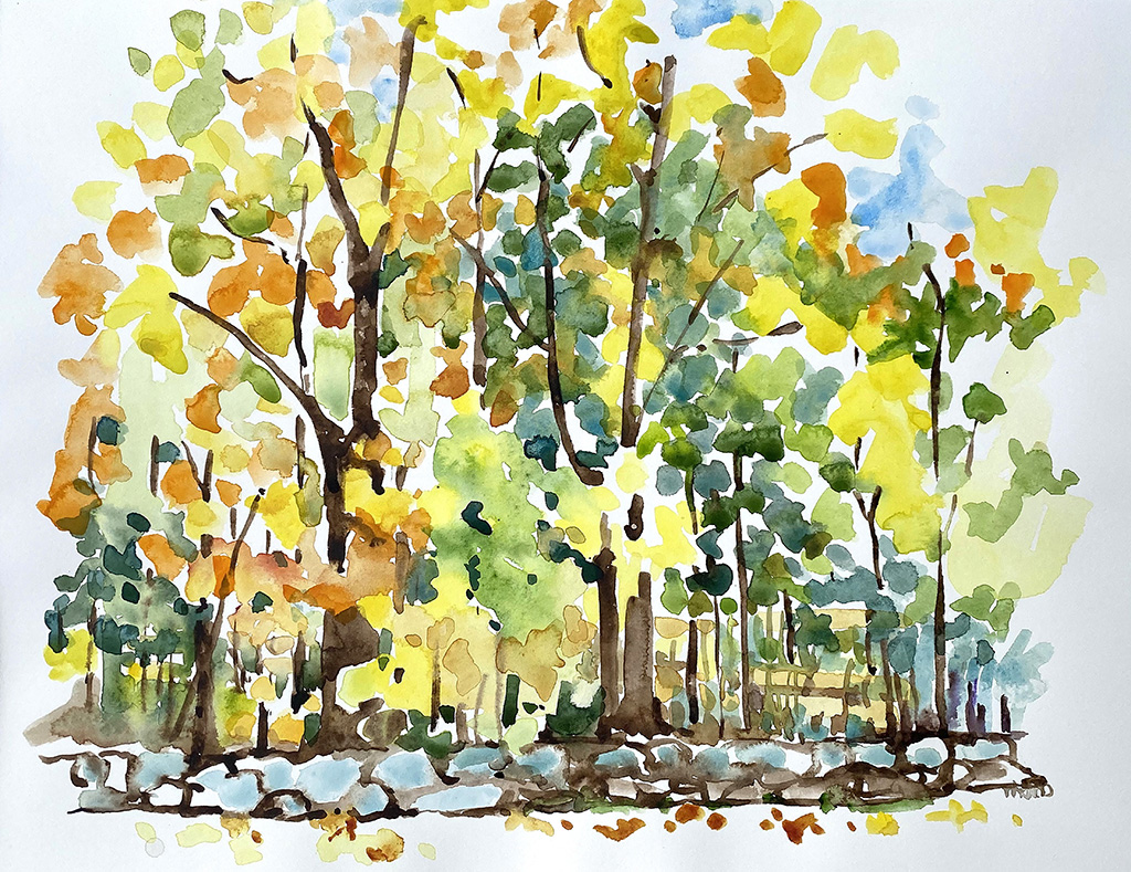 autumntrees.jpg