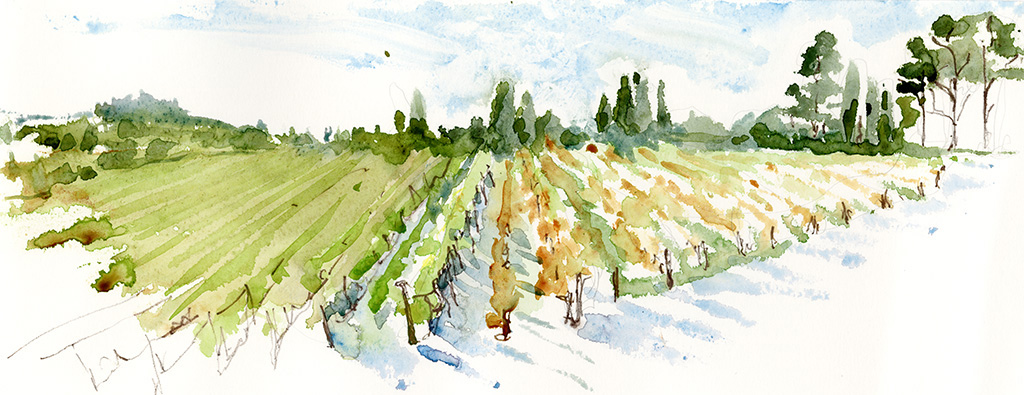 Italy-DievoleVineyard