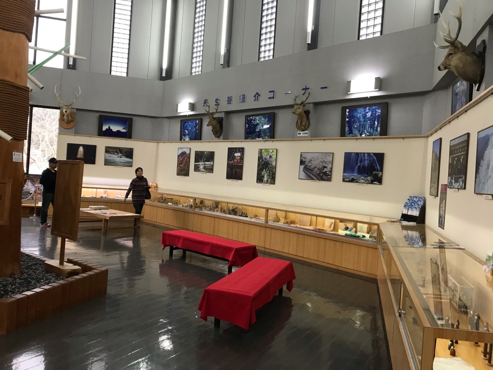 投稿された画像