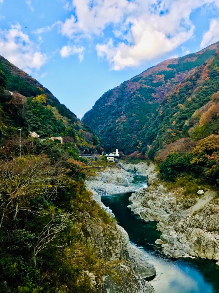 投稿された画像