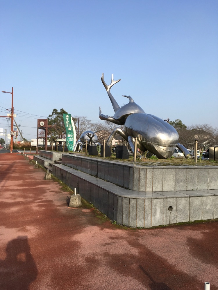 投稿された画像