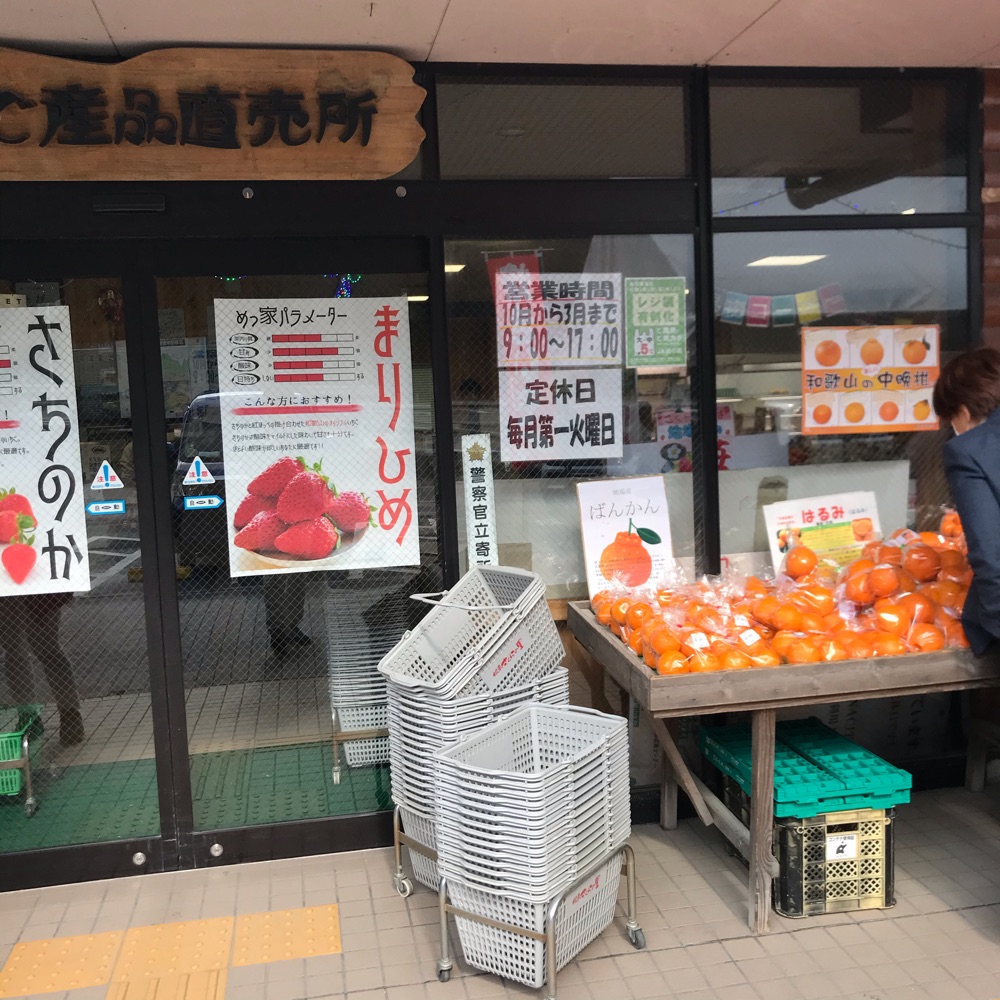 投稿された画像