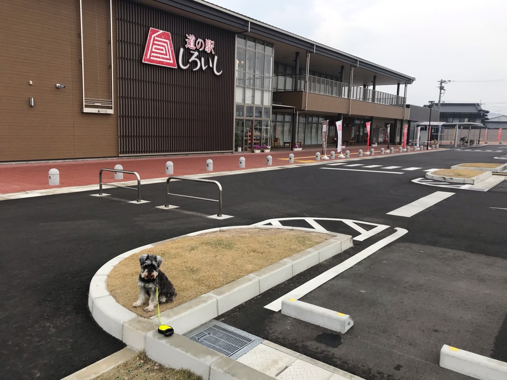 投稿された画像