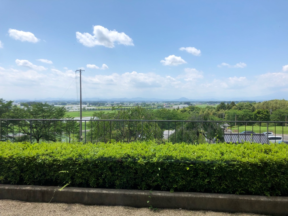 投稿された画像