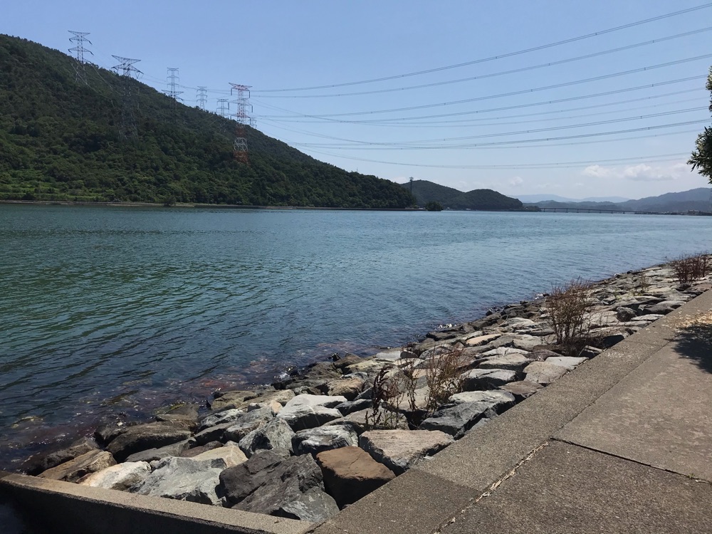 投稿された画像
