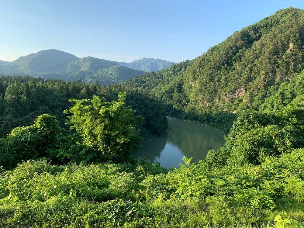 投稿された画像