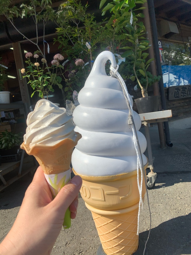 投稿された画像