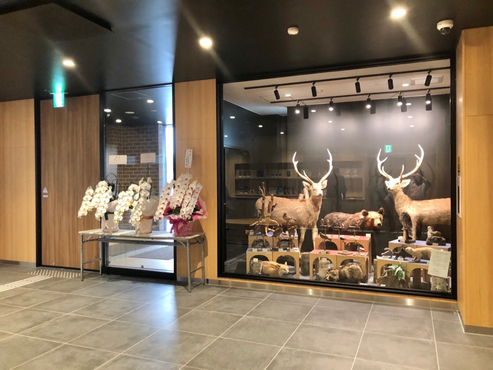 投稿された画像