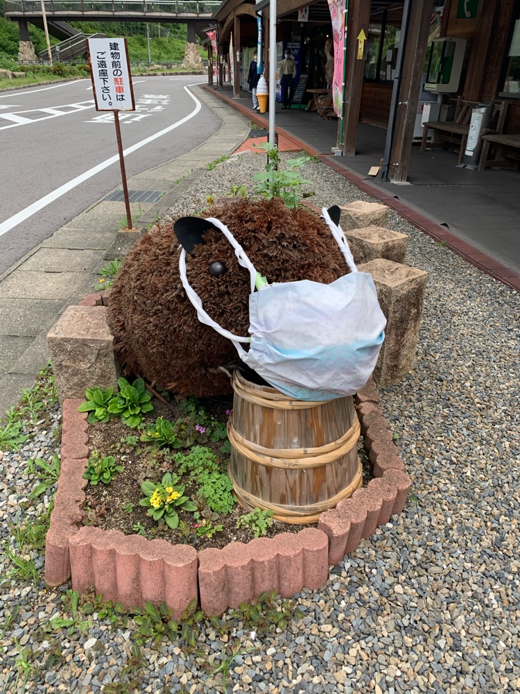 投稿された画像