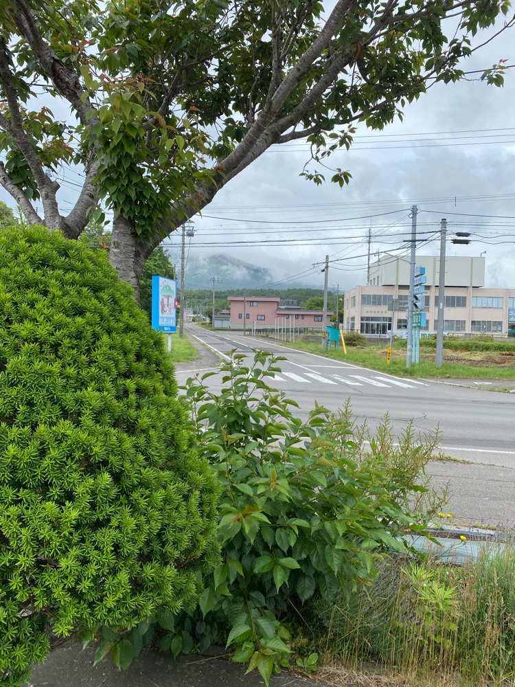 投稿された画像