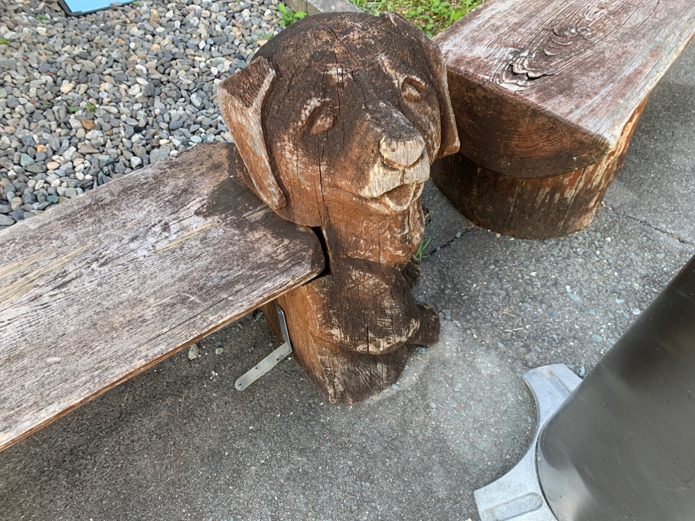 投稿された画像