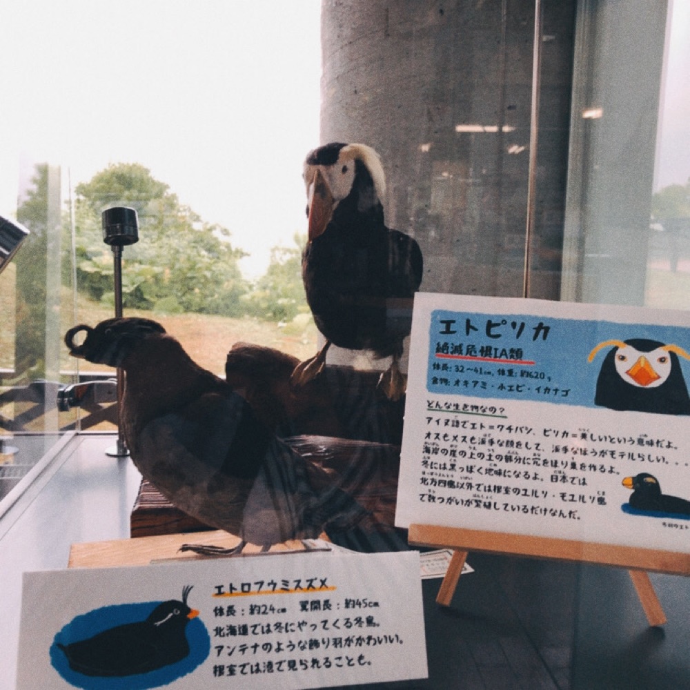 投稿された画像