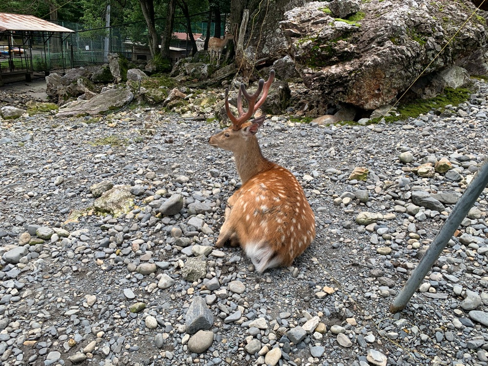 投稿された画像