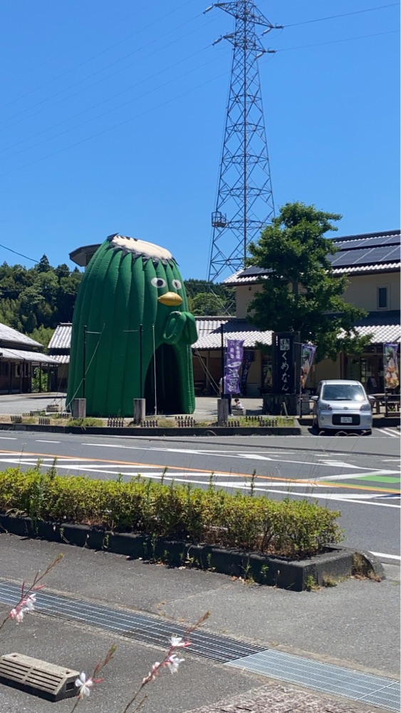 投稿された画像