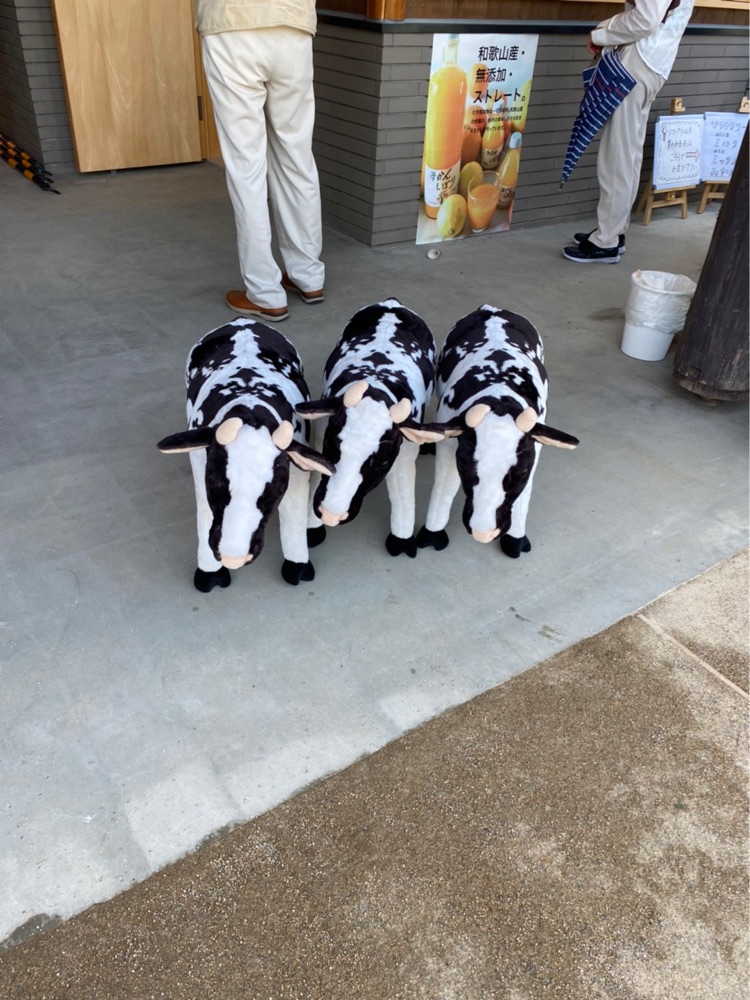 投稿された画像