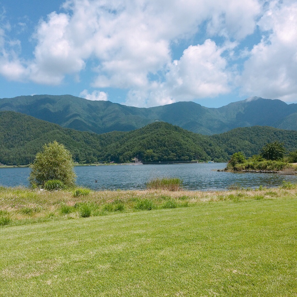 投稿された画像