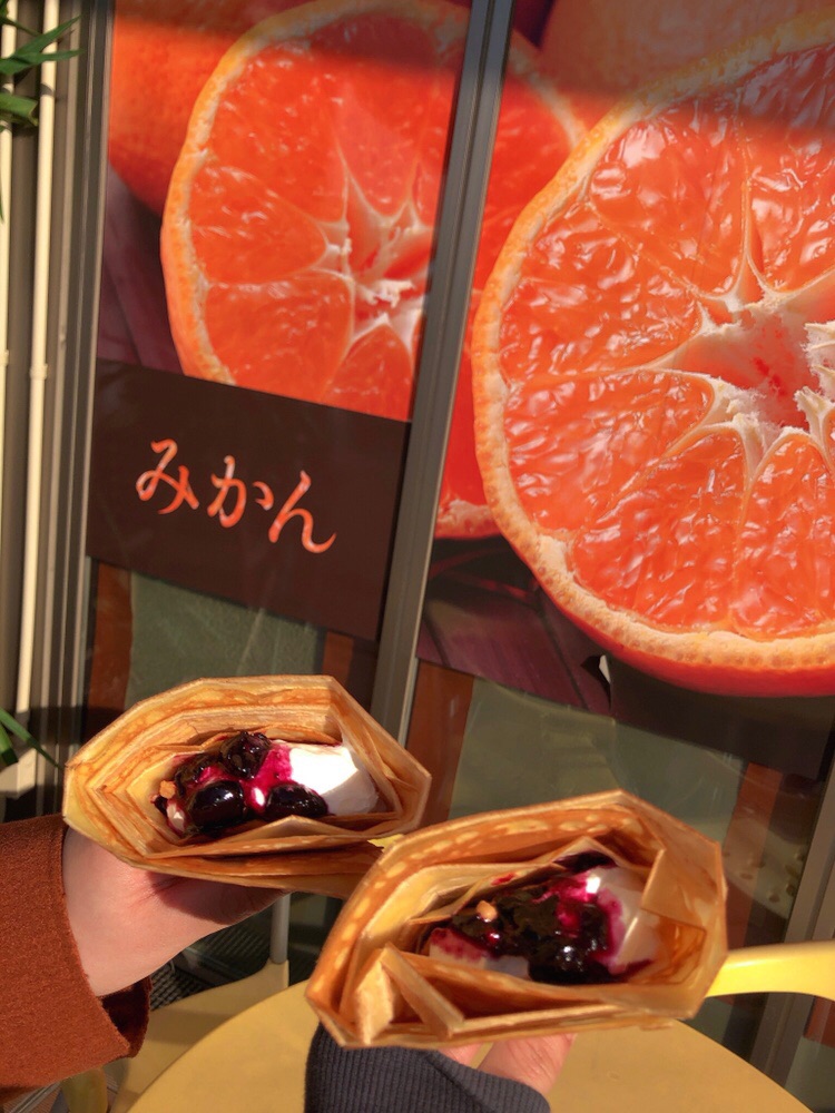 投稿された画像