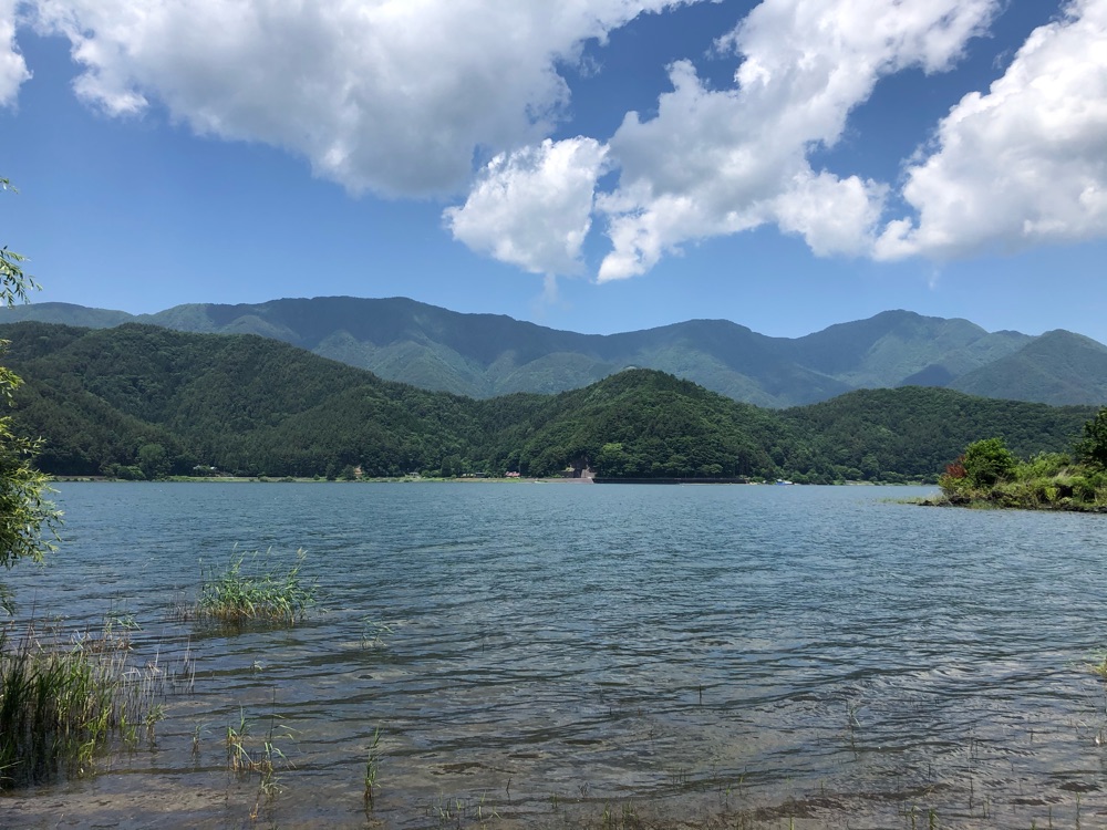 投稿された画像