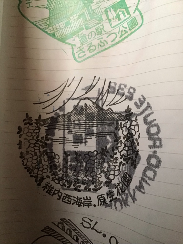 投稿された画像