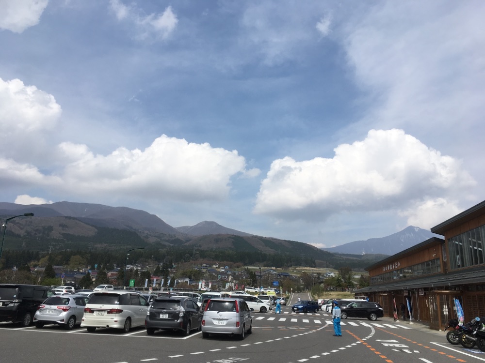 投稿された画像