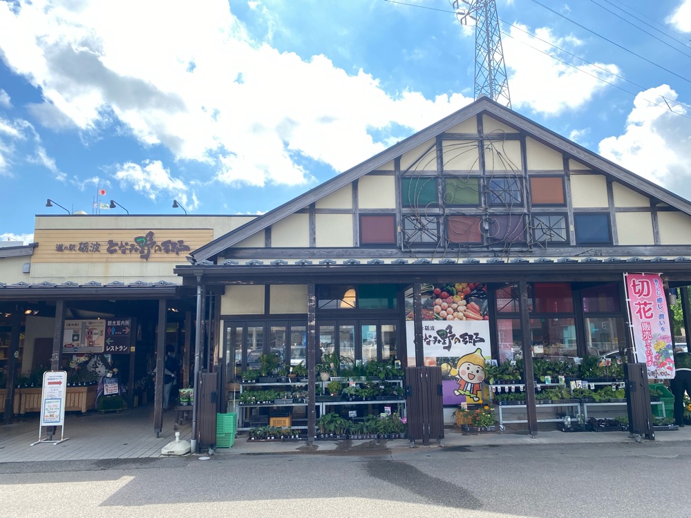 投稿された画像