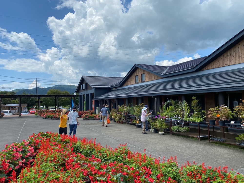 投稿された画像