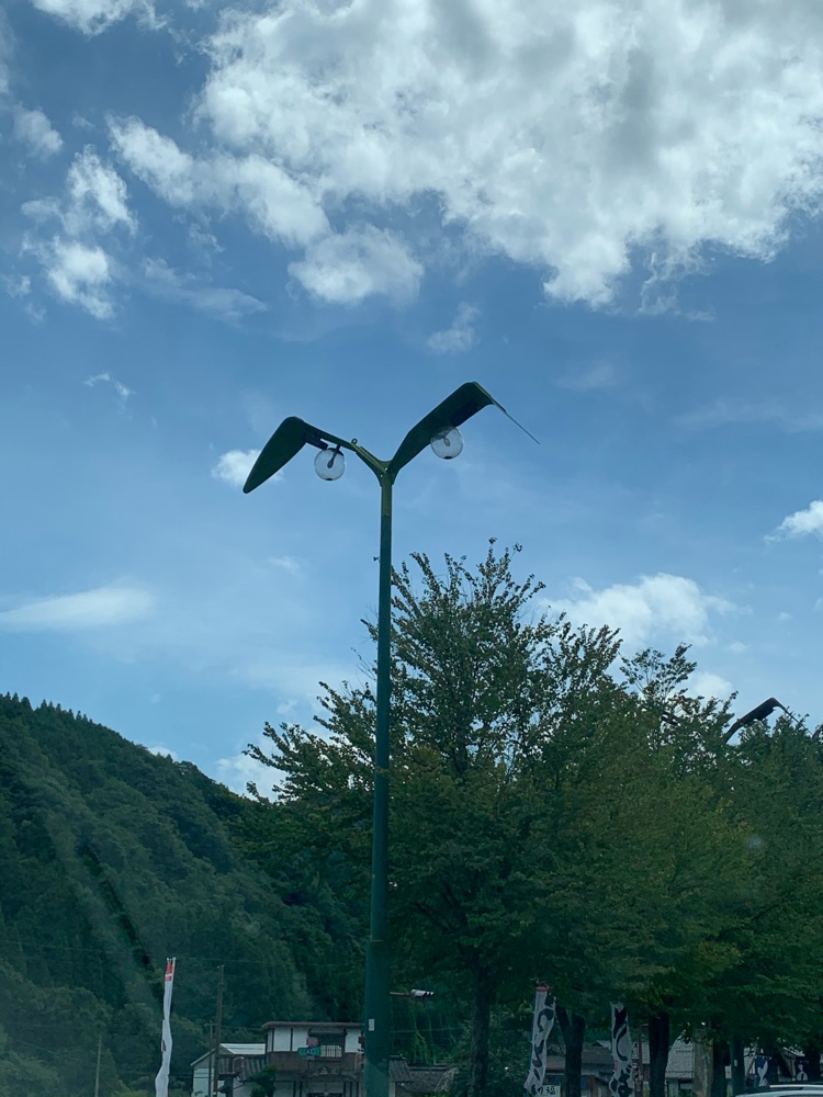 投稿された画像