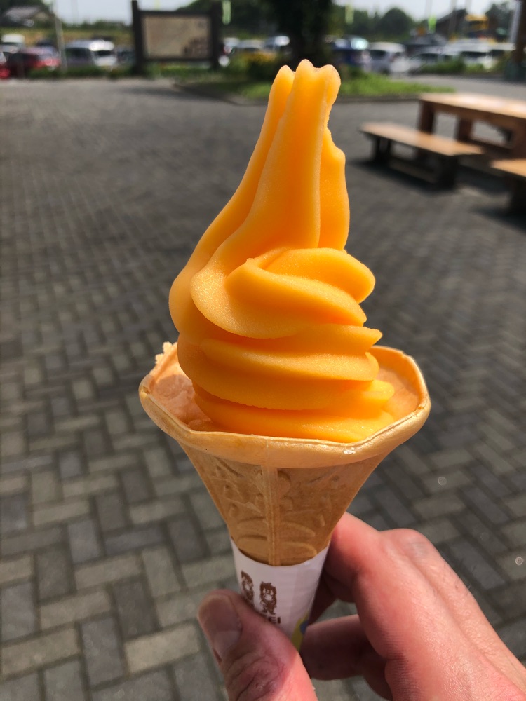 投稿された画像