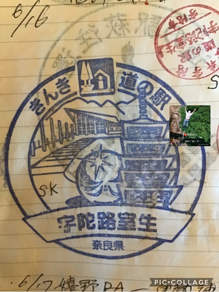 投稿された画像