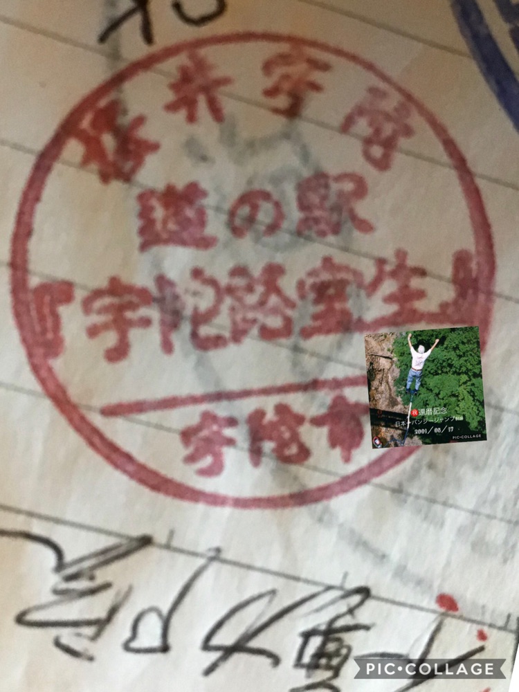 投稿された画像