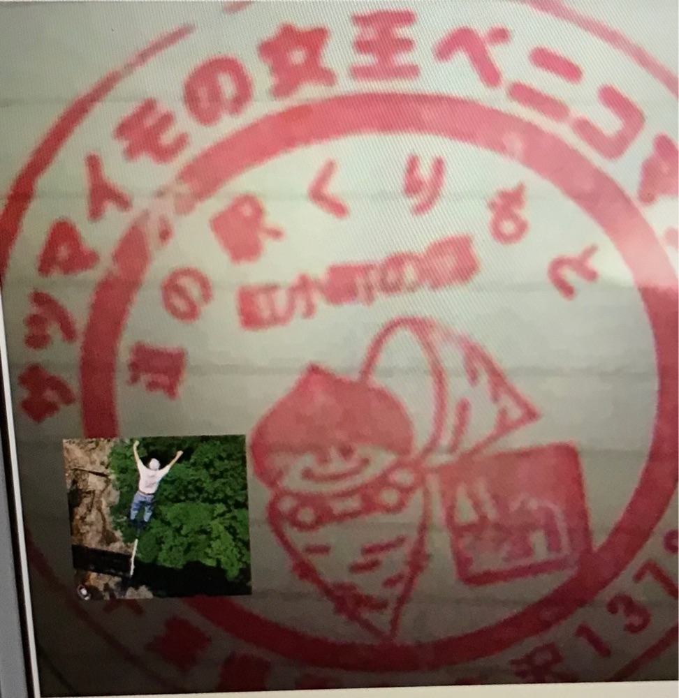 投稿された画像