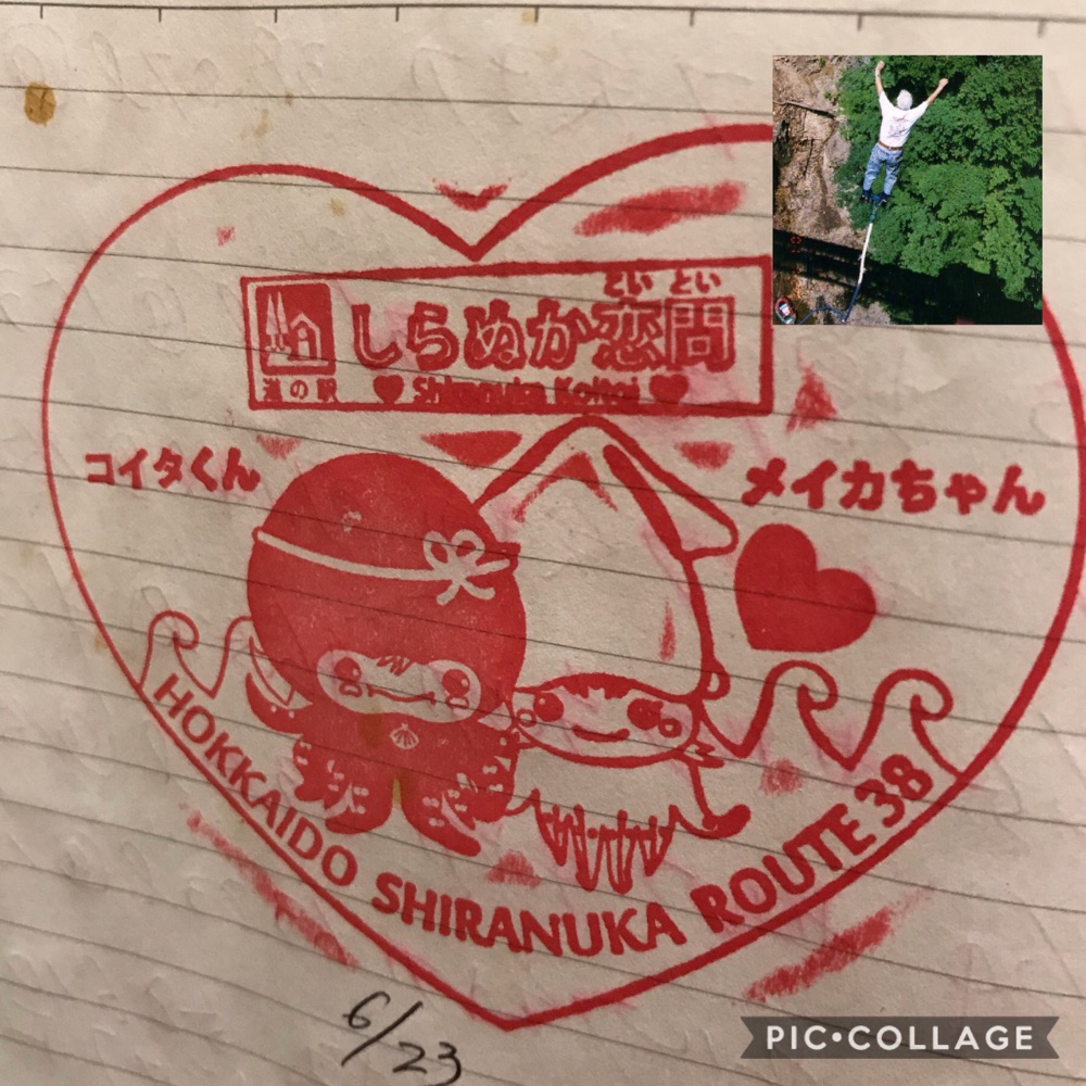 投稿された画像