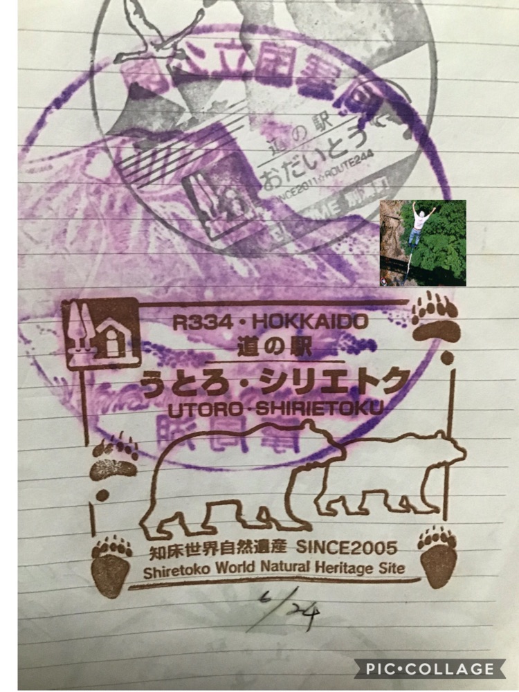 投稿された画像