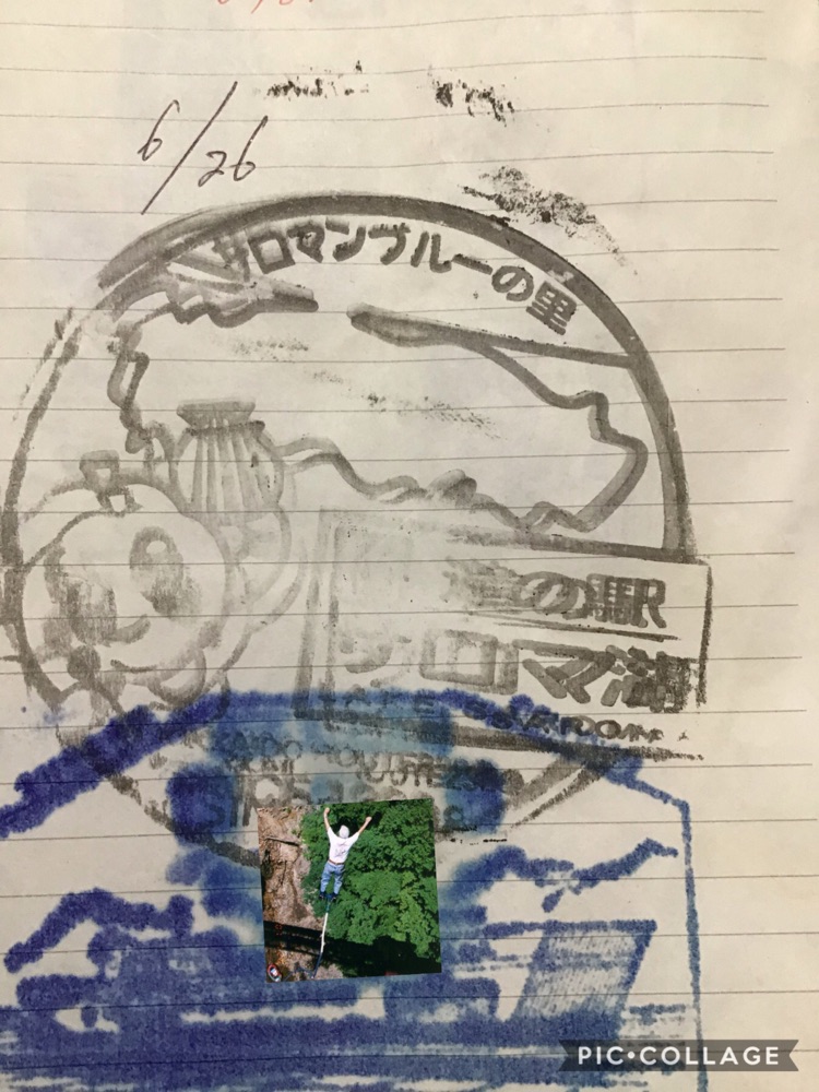 投稿された画像