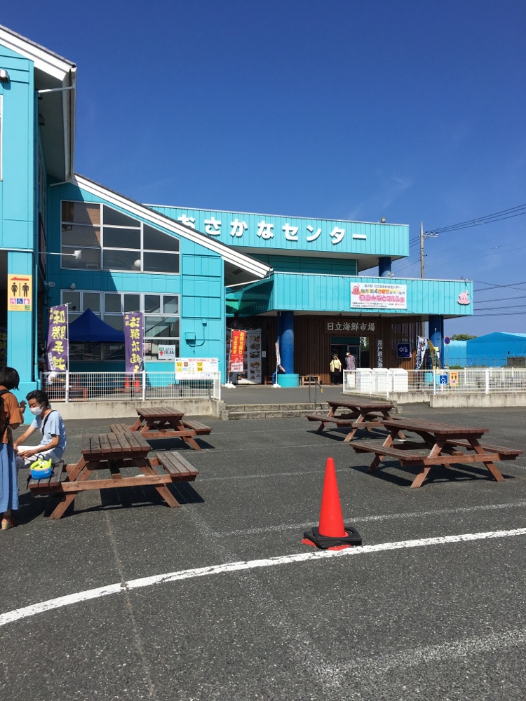 投稿された画像