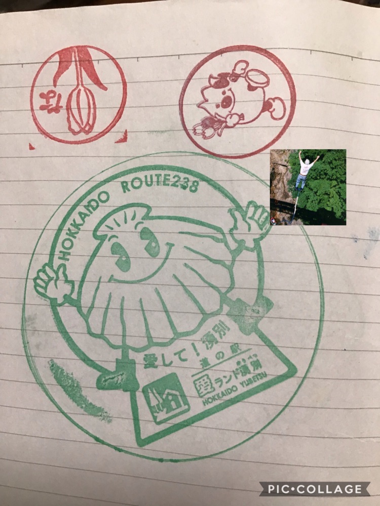 投稿された画像