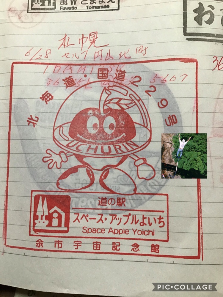 投稿された画像