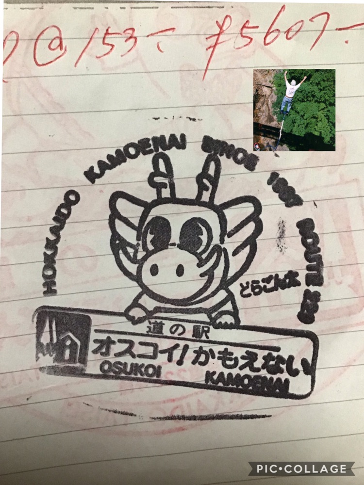 投稿された画像