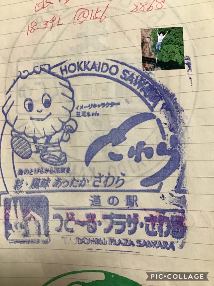 投稿された画像