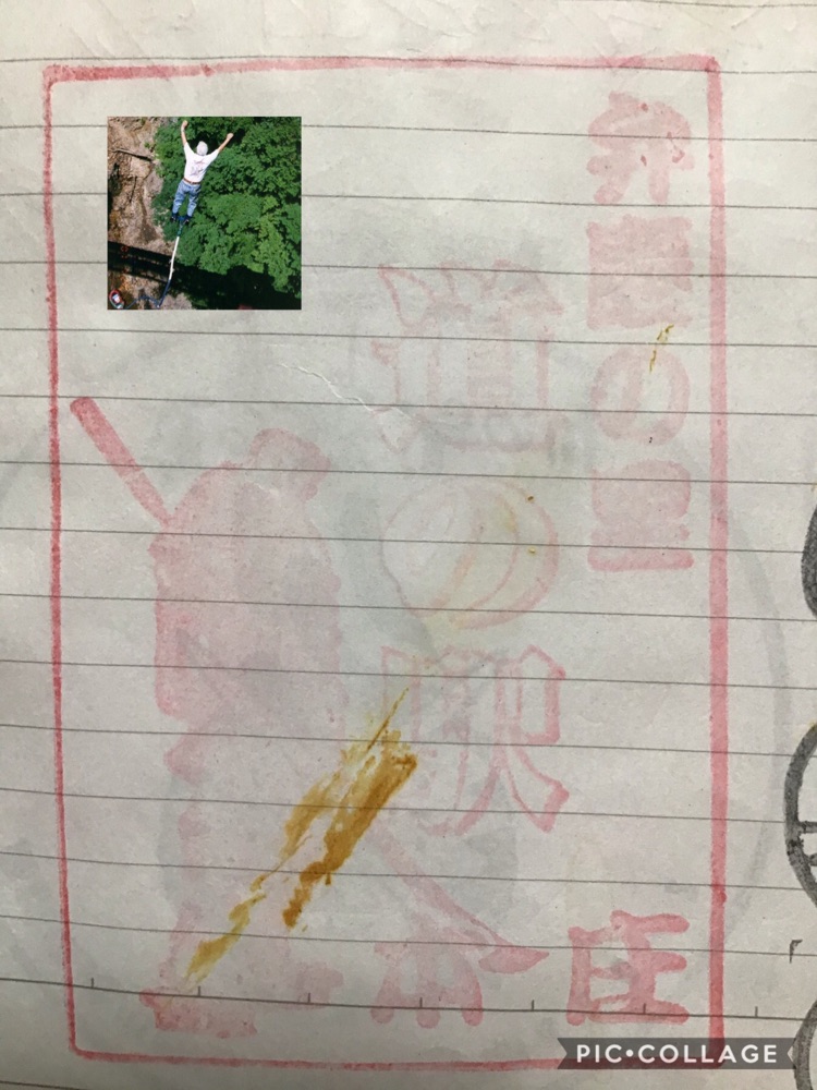 投稿された画像