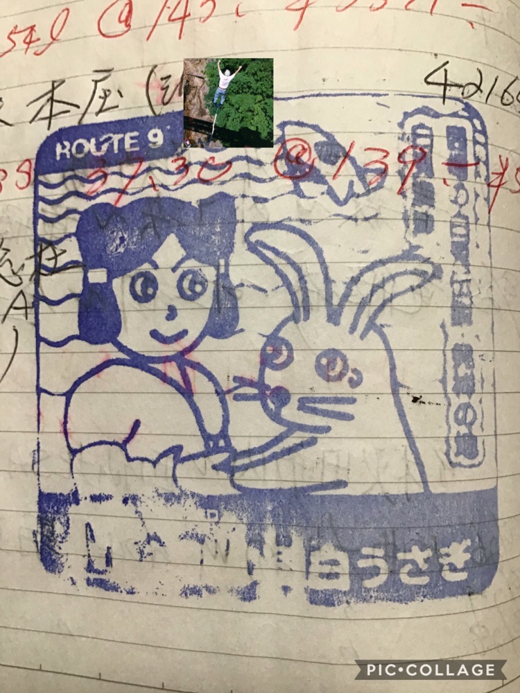 投稿された画像