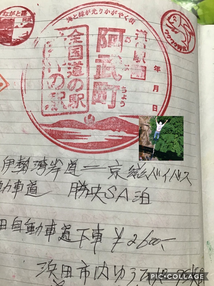 投稿された画像