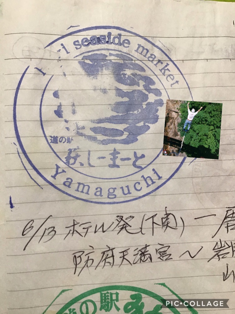 投稿された画像